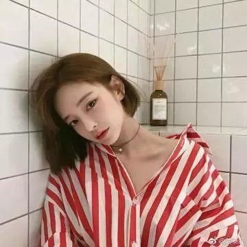 山上的松树